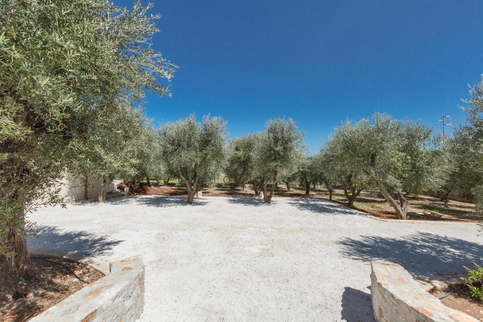 Вилла Trulli Ulivo Di Puglia By Barbarhouse Сельва-ди-Фазано Экстерьер фото